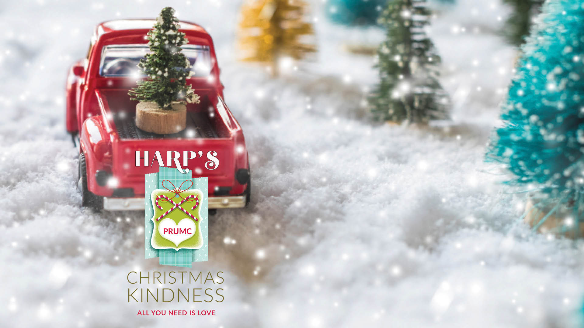 Harp's Christmas Kindness Outreach