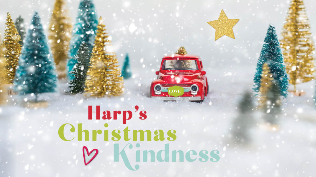 Harp's Christmas Kindness Outreach Program