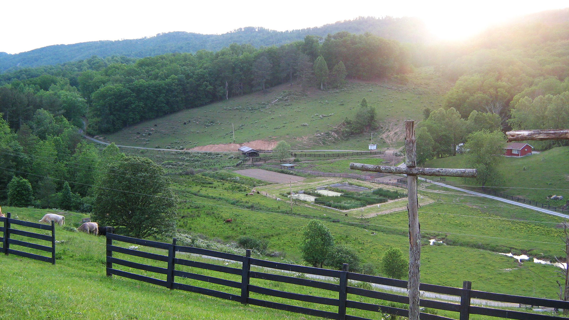 Youth Mission trip to Henderson Settlement in Frakes, KY.