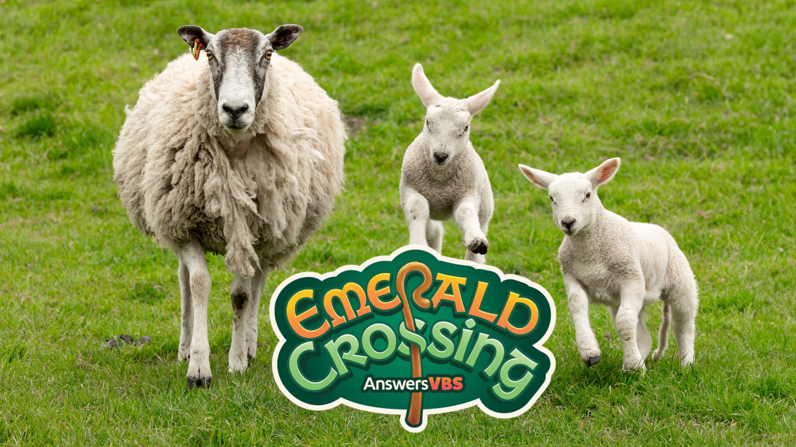 VBS Emerald Crossing